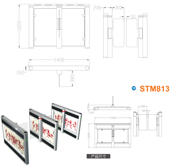 望江县速通门STM813